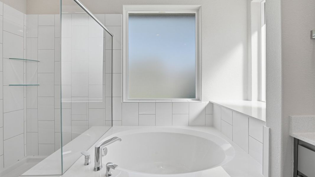 Representative interior finishes for a home built from the BASSWOOD by D.R. Horton in Treeline, Justin (Image 19).