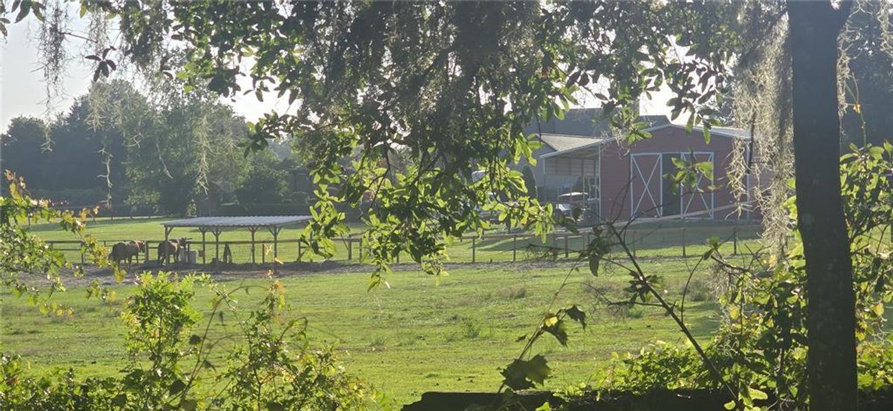 Natural landscape and outdoor views near in Ocala (Image 39). Natural landscape and outdoor views near in Ocala (Image 39).