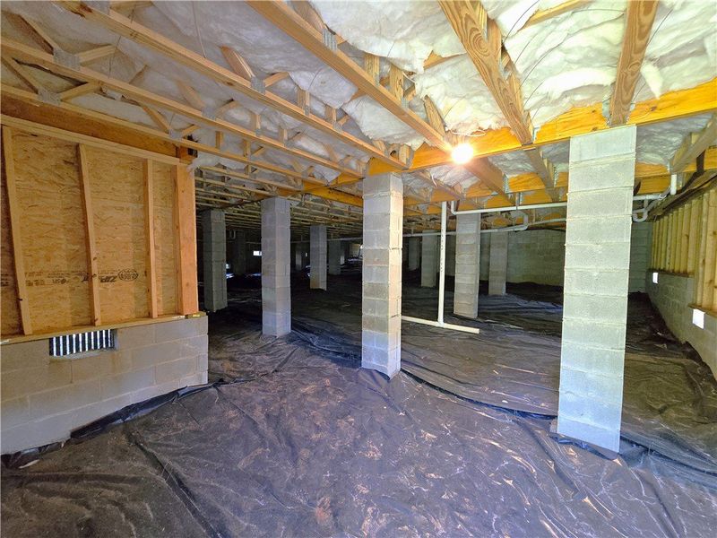 This spacious crawl space offers ample utility and