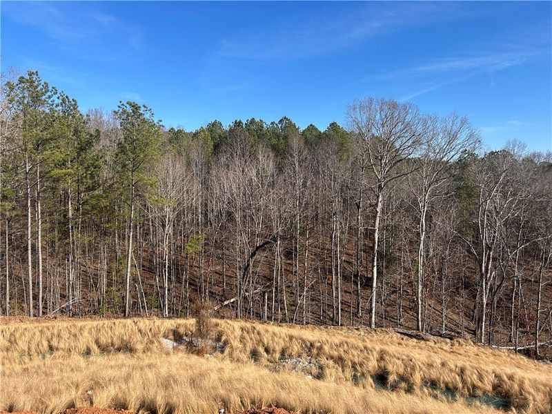 Natural landscape and outdoor views near Edwards Ridge in Central (Image 11).