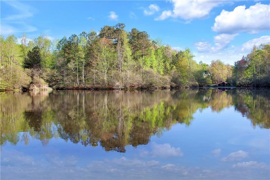 Natural landscape and outdoor views near  in Johns Creek (Image 23).
