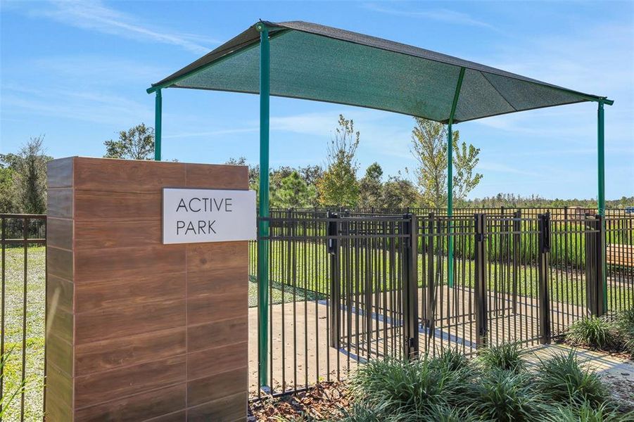 Community amenities in Serenade at Ovation, Winter Garden (Image 7).