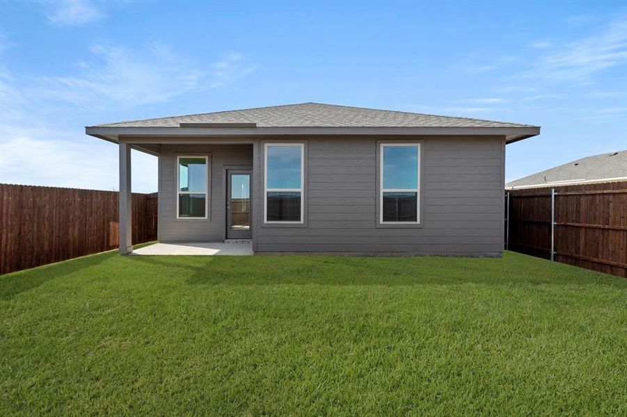 26. 8216 Kingfisher - Back