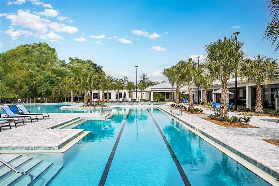 Community amenities in Angeline Active Adult: Active Adult Manors, Land O' Lakes (Image 49). Community amenities in Angeline Active Adult: Active Adult Manors, Land O' Lakes (Image 49).