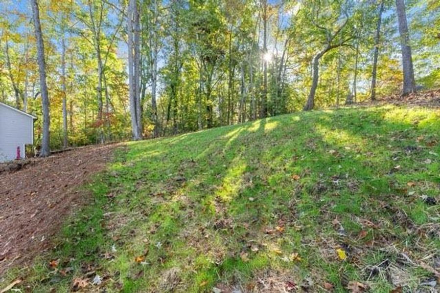 Natural landscape and outdoor views near  in Gainesville (Image 23).