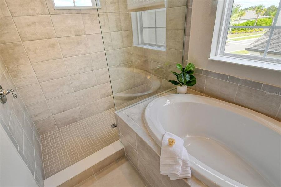 Furnished interior view inside a new home in , Nokomis (Image 17).