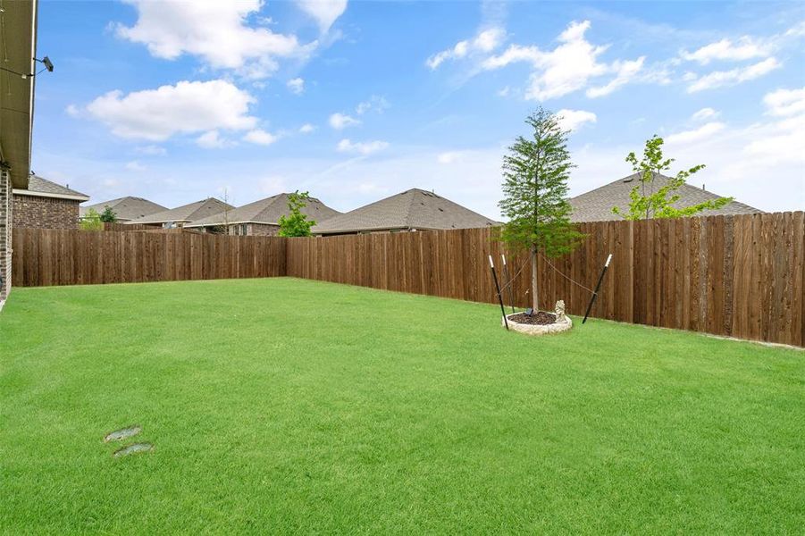 The property features a spacious lawn, a wooden privacy fence, and a young tree with a stone-lined base