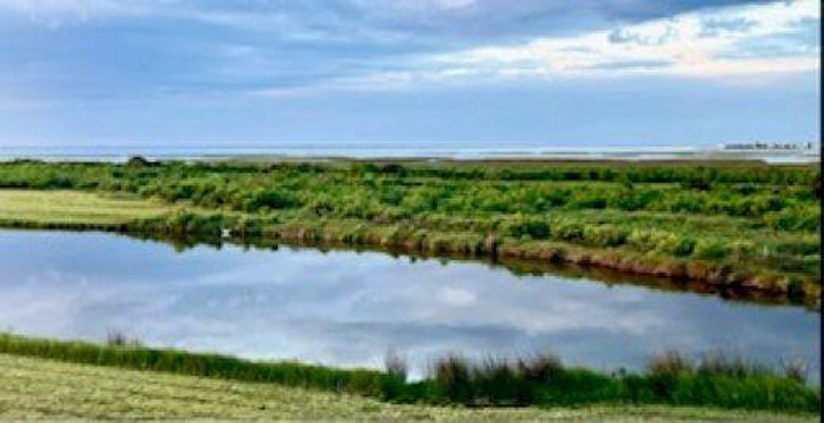 Private Salt Water Pond with unobstructed views