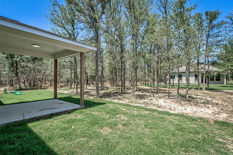 View of yard with a patio area.