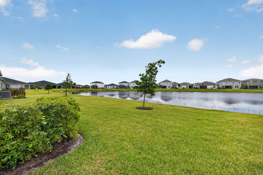 35-web-or-mls-3A5A6823