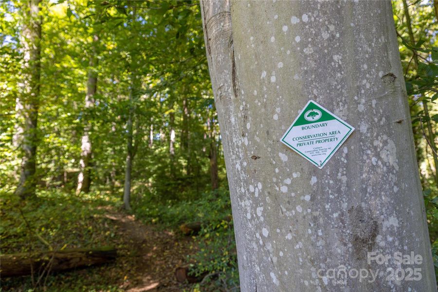 Protected Community Space with Trails Adjoin Craggy Park Protected Community Space with Trails Adjoin Craggy Park