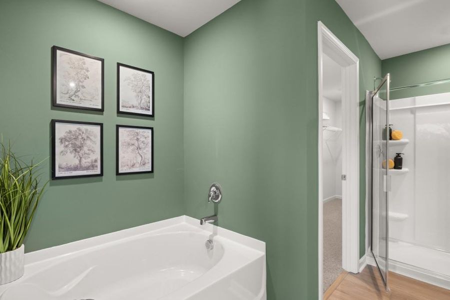 Furnished interior view inside a new home in Hughes Court, Dawsonville (Image 19).