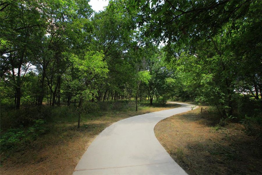 Beazer Homes Treeline