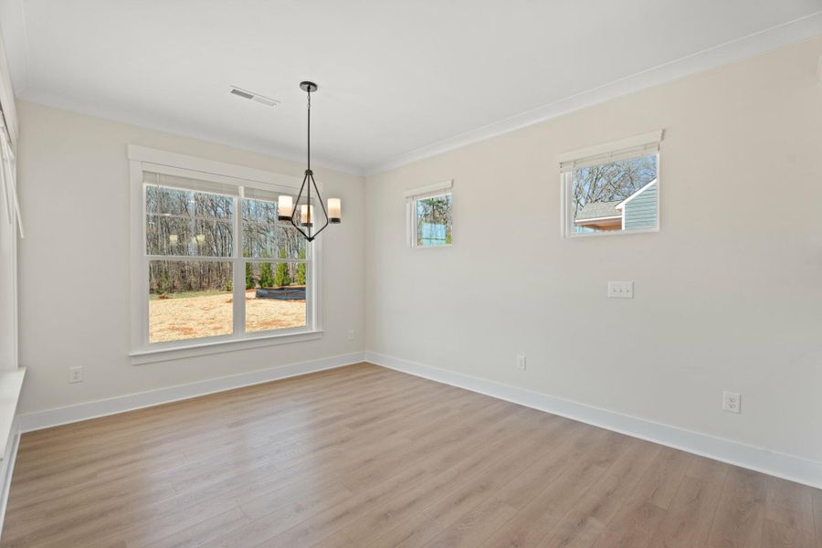 Spacious, unfurnished interior of a new home in Redland, Advance (Image 29).