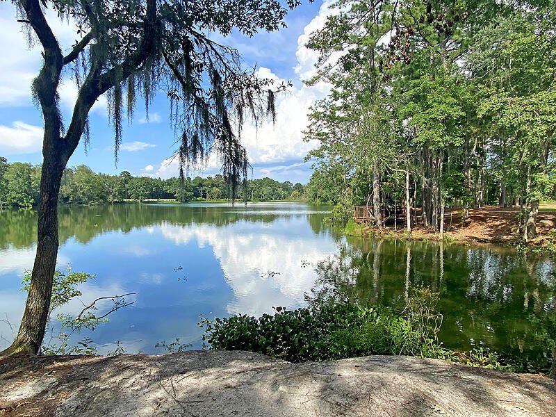 Natural landscape and outdoor views near Heron's Walk at Summers Corner in Summerville (Image 62).