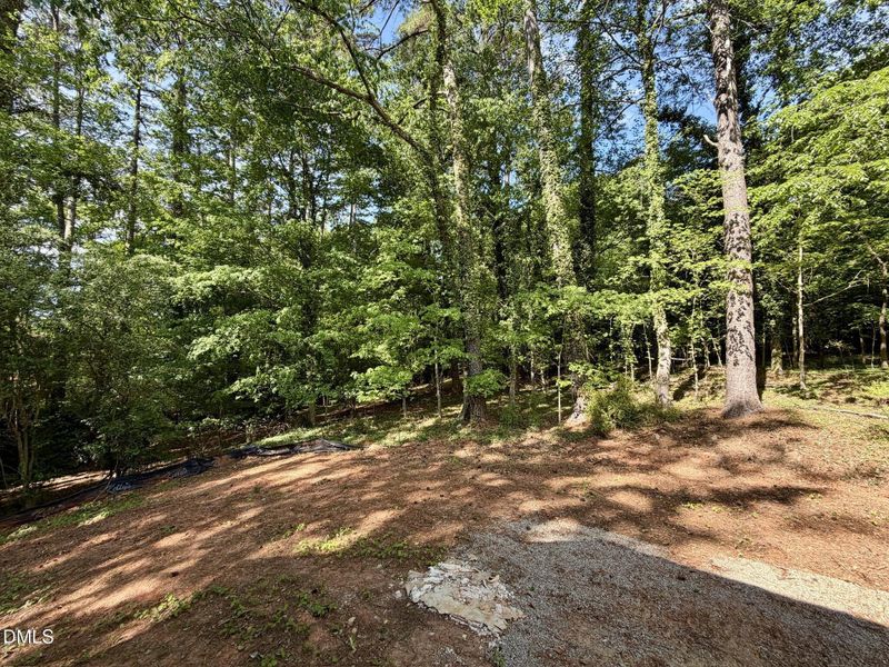 33BF064A-C980-4AAE-8568-84936630567A_1_1