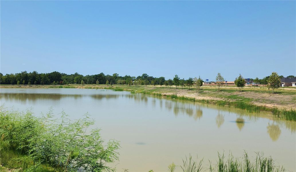 Natural landscape and outdoor views near Watermark in Alvin (Image 28).