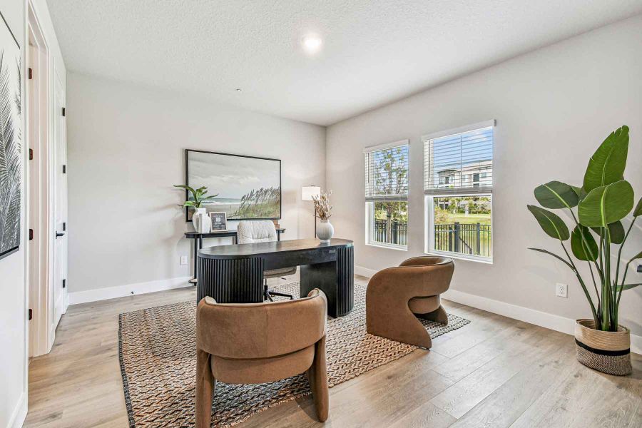 The Rainwater - Study