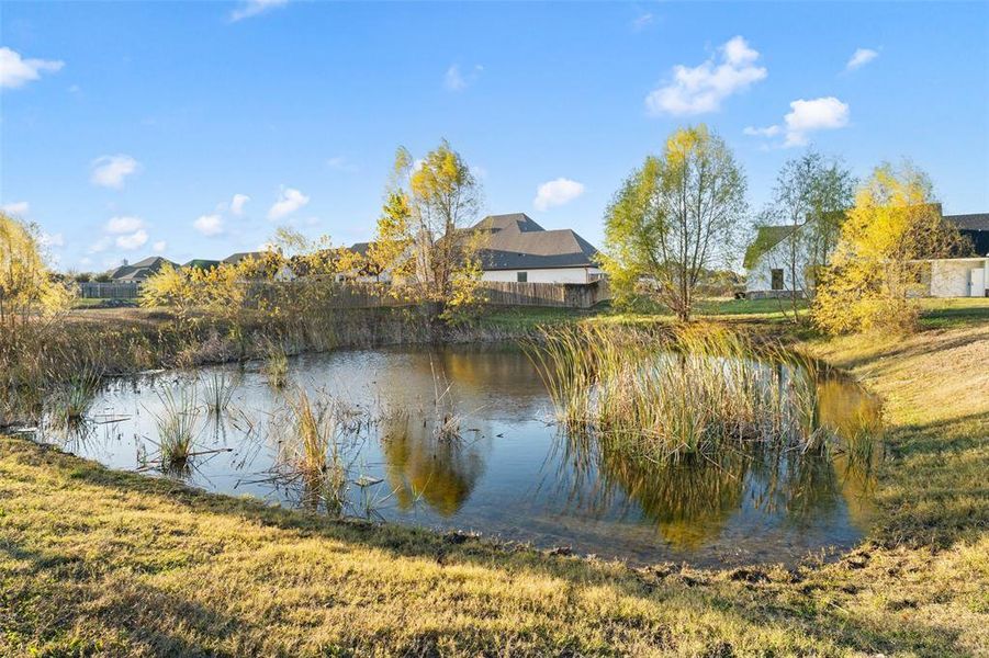 Natural landscape and outdoor views near in Robinson (Image 33). Natural landscape and outdoor views near in Robinson (Image 33).