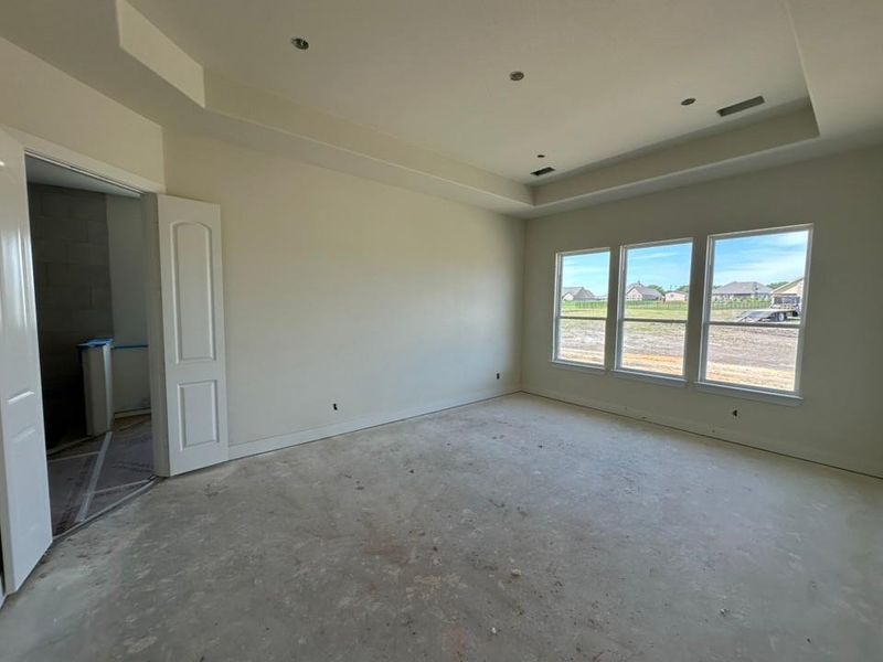 Spacious room featuring a tray ceiling with recessed lighting, three large windows, a two-panel interior door, and light-toned wall finishes