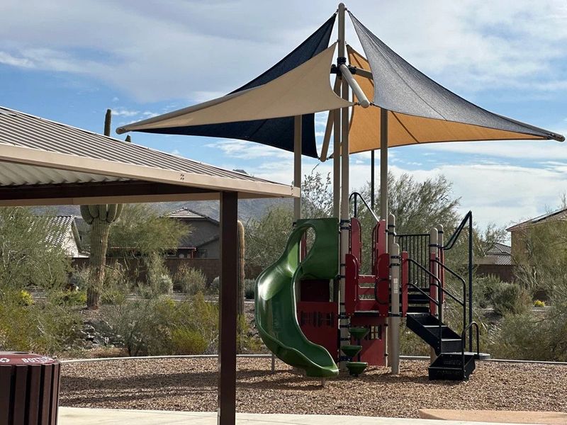 Community amenities in Aloravita, Peoria (Image 17).