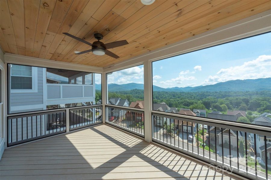 Summer vision Summer vision