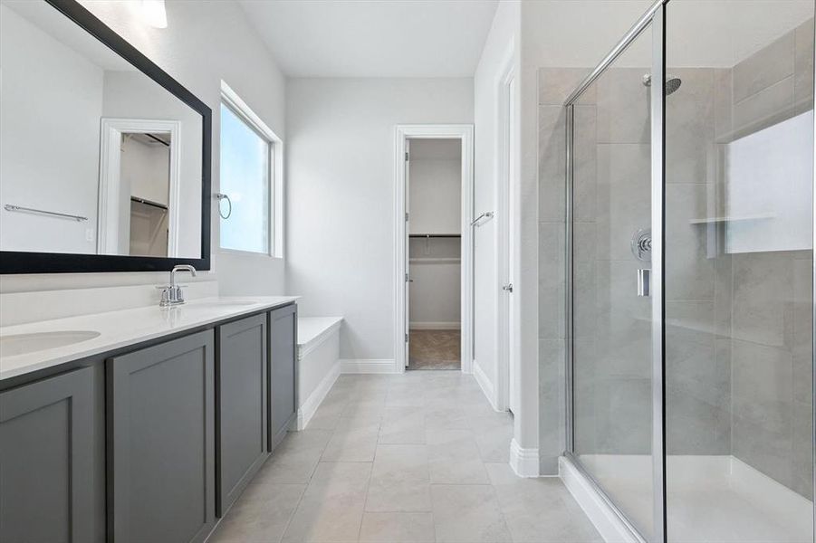Bathroom with a walk in closet, a stall shower, and double vanity Bathroom with a walk in closet, a stall shower, and double vanity