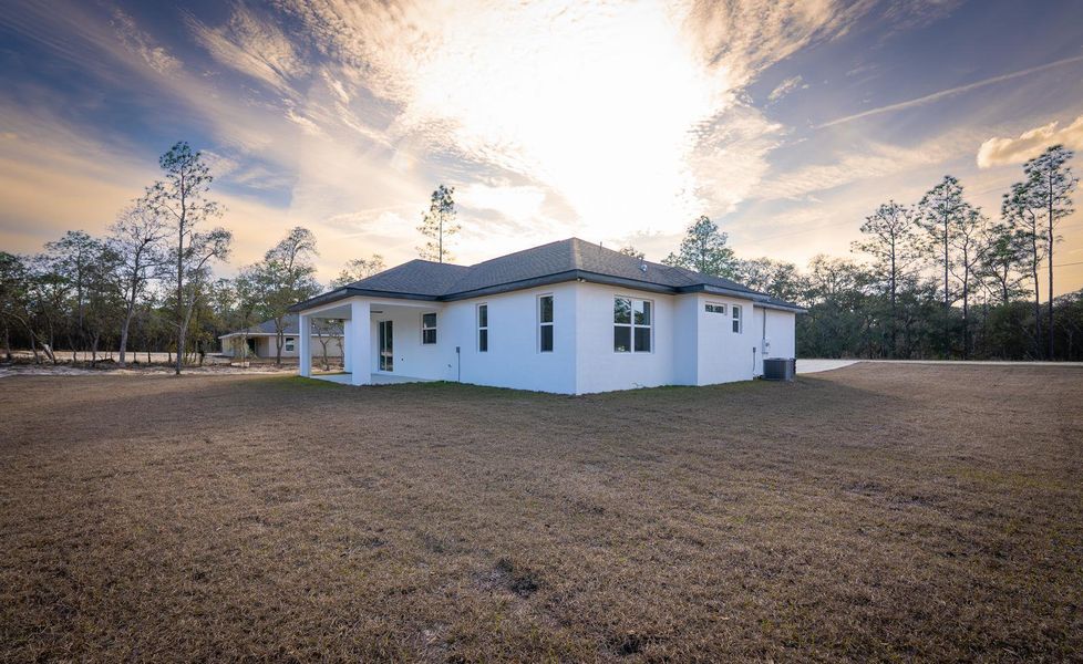 WhatsApp Image 2026-02-12 at 10.45.56 (1