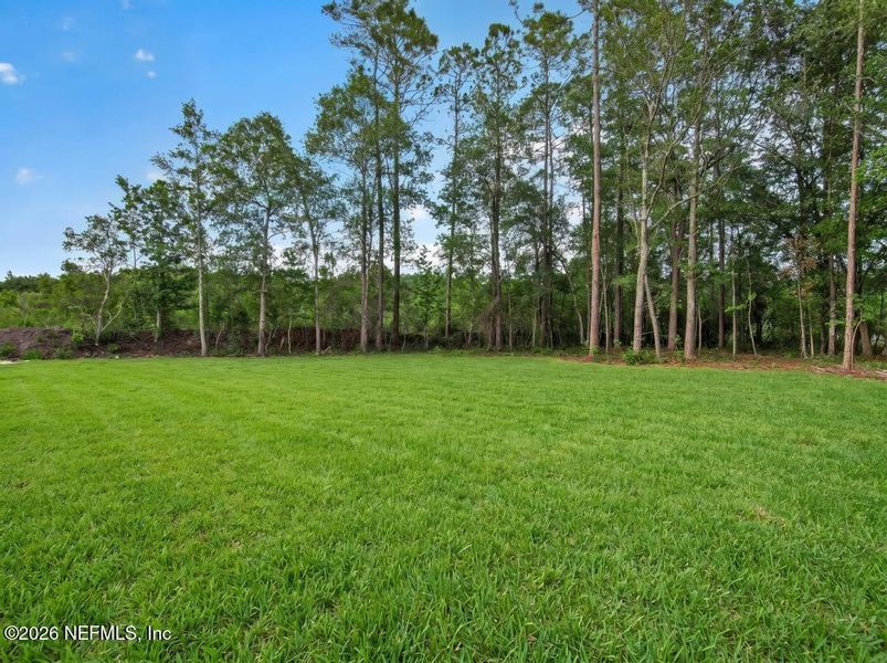 Natural landscape and outdoor views near  in Middleburg (Image 54).