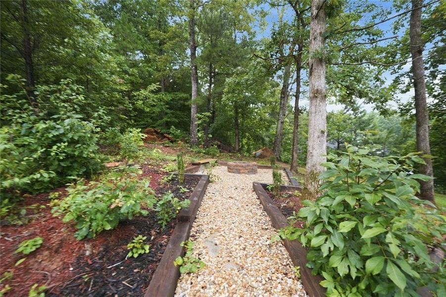 Natural landscape and outdoor views near  in Gainesville (Image 32).