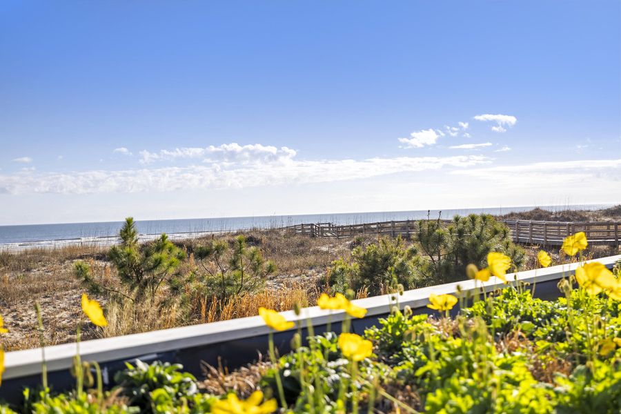 Natural landscape and outdoor views near in Kiawah Island (Image 42). Natural landscape and outdoor views near in Kiawah Island (Image 42).