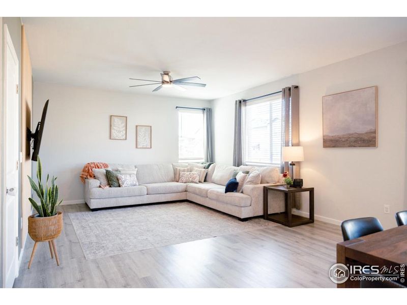 Large Main Living Space Large Main Living Space