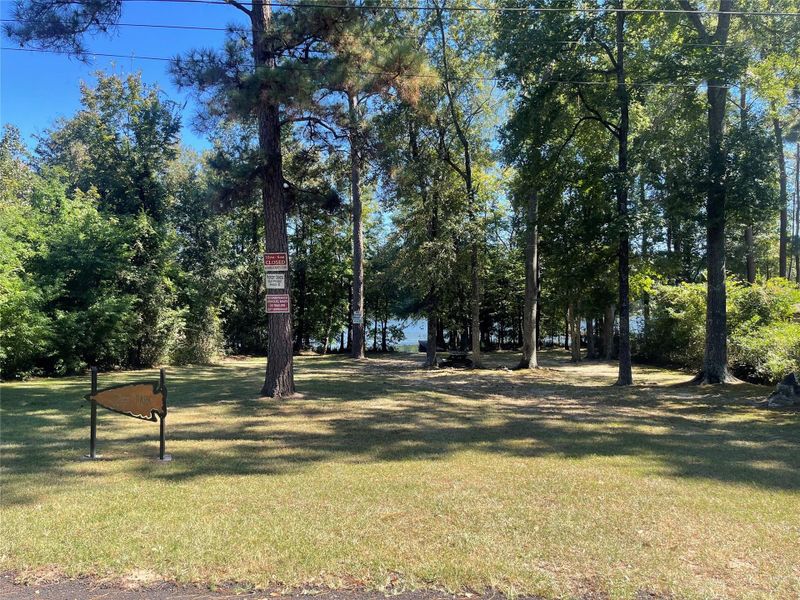 Natural landscape and outdoor views near  in Willis (Image 3).