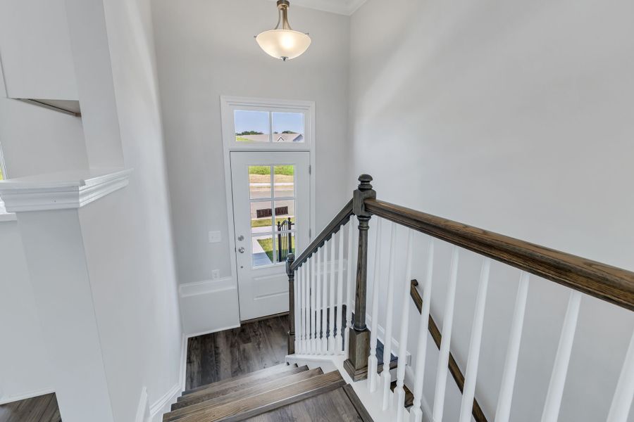 254 Savoy Loop, Homesite 441