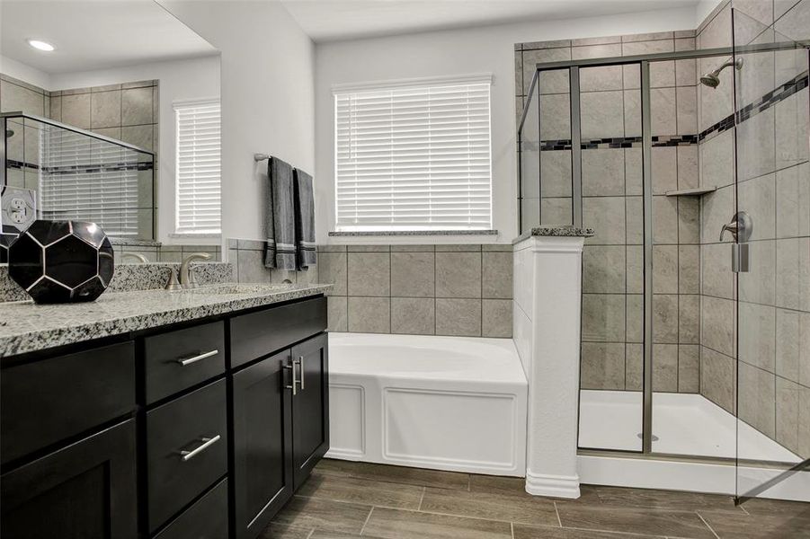 Bathroom with vanity, shower with separate bathtub, and a wealth of natural light