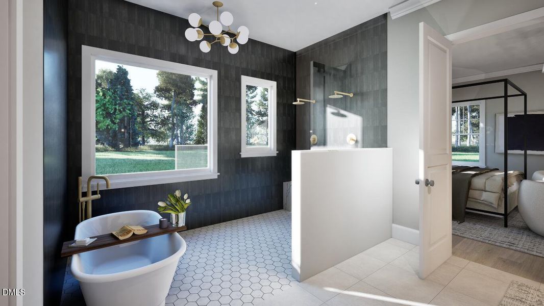 Image21 (Medium) Image21 (Medium)