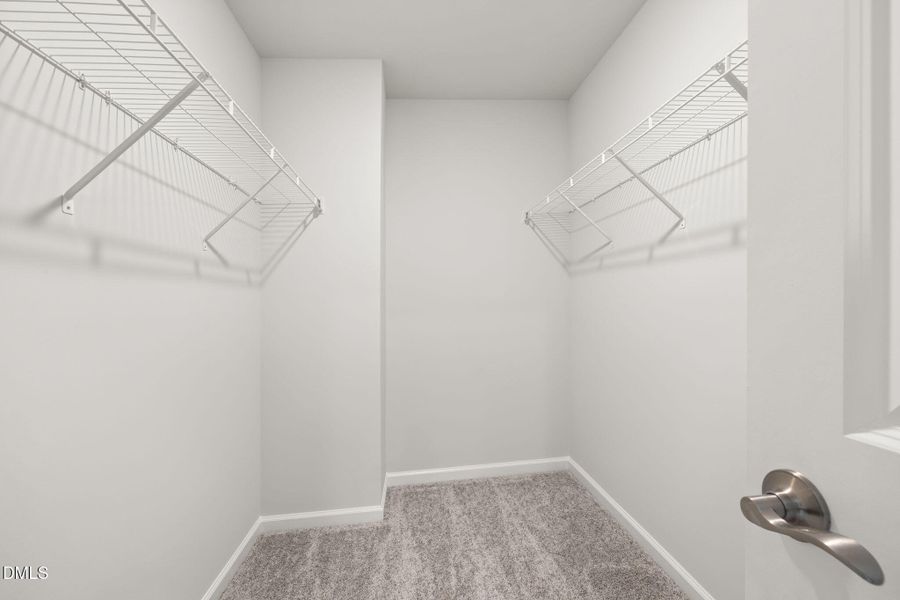 PRO HAMPTON LOT #77 PIC (26)