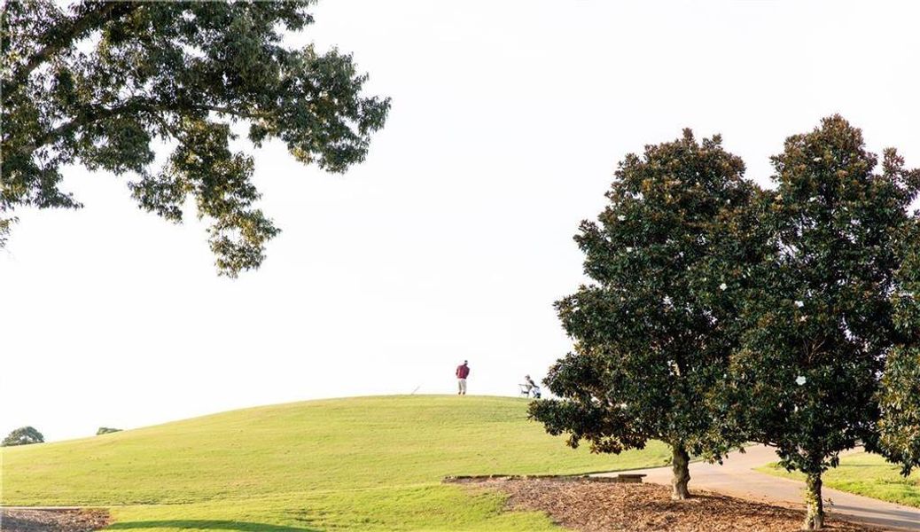 Natural landscape and outdoor views near Traditions of Braselton in Jefferson (Image 58). Natural landscape and outdoor views near Traditions of Braselton in Jefferson (Image 58).