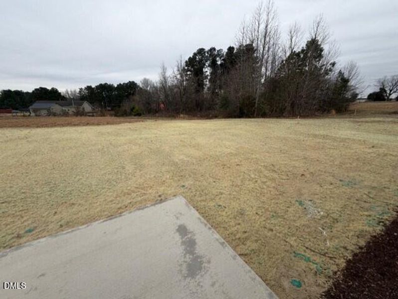 55dbd056-2669-4c32-8574-506de035fcae