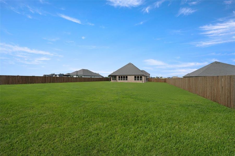 117 Grey Wolf- Back-2