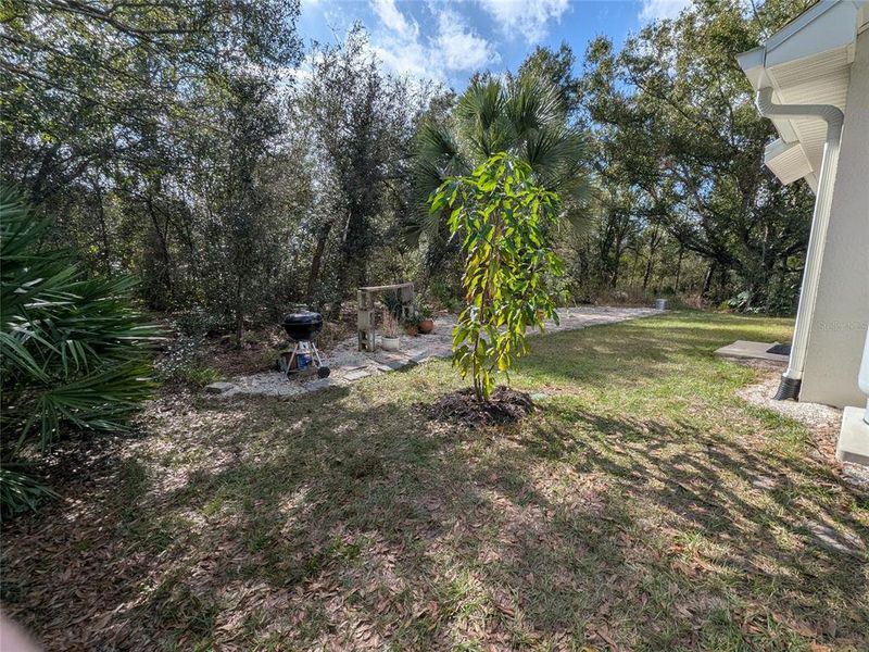 Natural landscape and outdoor views near  in Arcadia (Image 46).