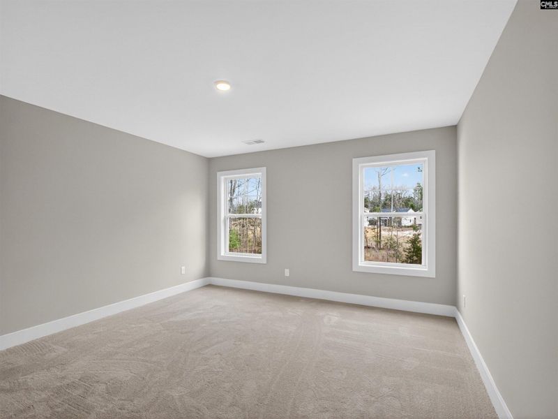 Spacious, unfurnished interior of a new home in Collins Cove, Chapin (Image 40).