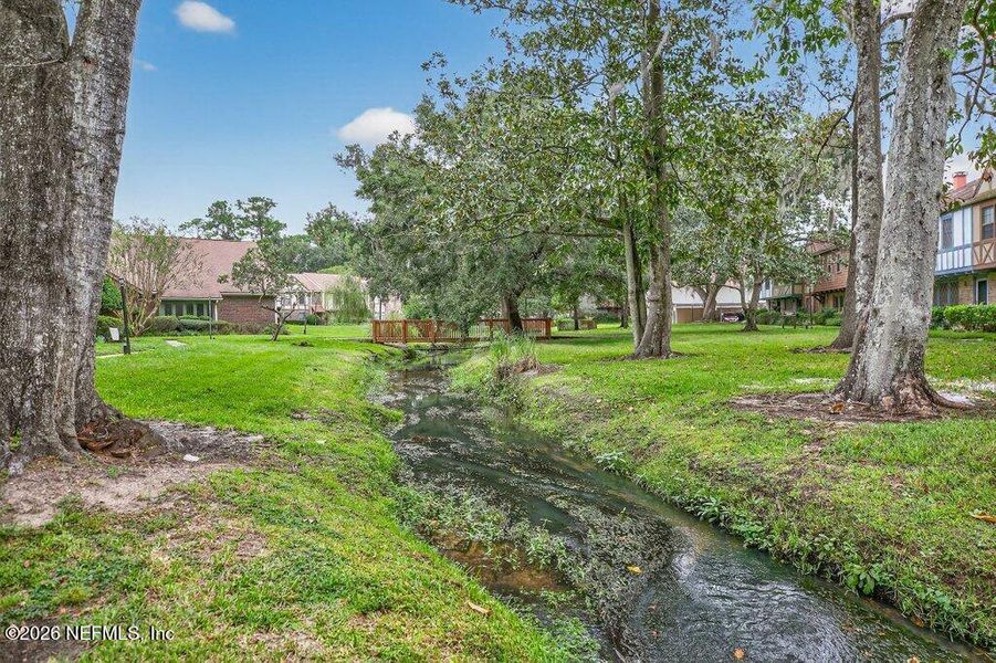 Natural landscape and outdoor views near in Jacksonville (Image 30). Natural landscape and outdoor views near in Jacksonville (Image 30).