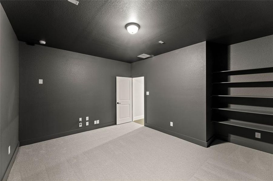 516 Big Lake-Media Room-1