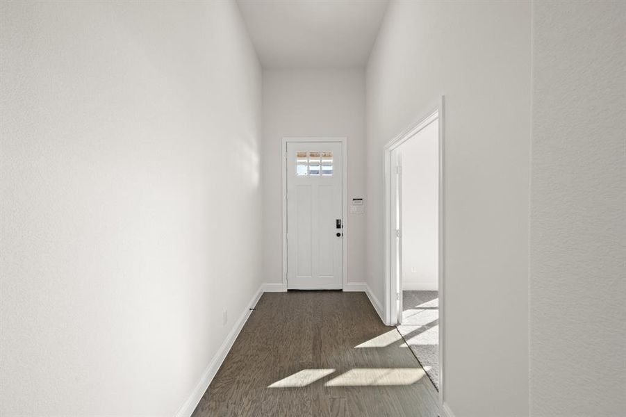 209 Pine Leaf- Entry-1