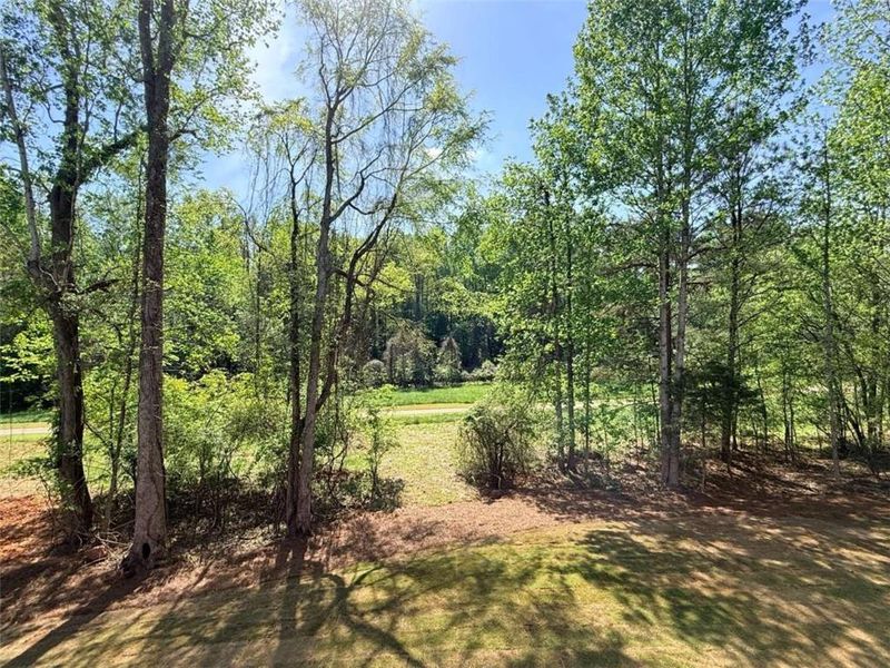 Natural landscape and outdoor views near  in Jefferson (Image 30).