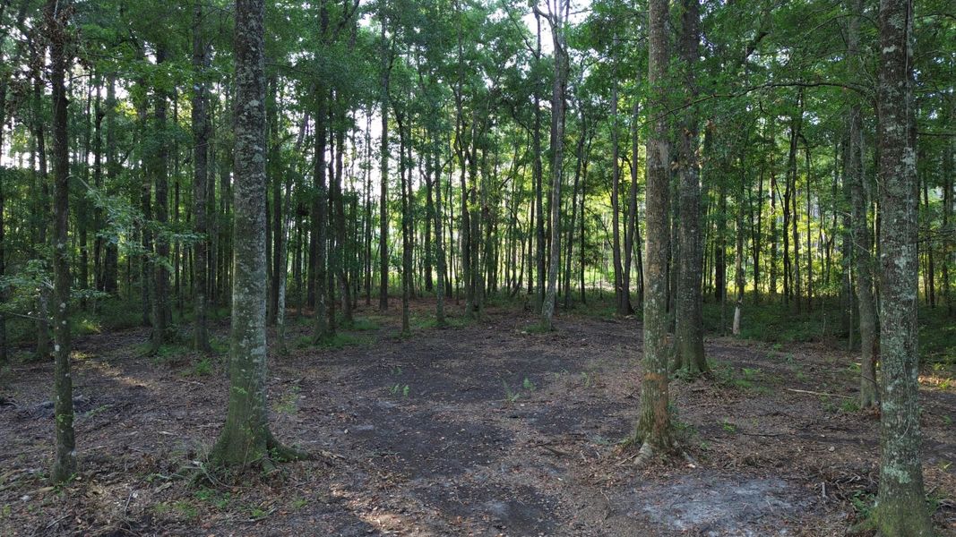 Natural landscape and outdoor views near in Ridgeville (Image 31). Natural landscape and outdoor views near in Ridgeville (Image 31).