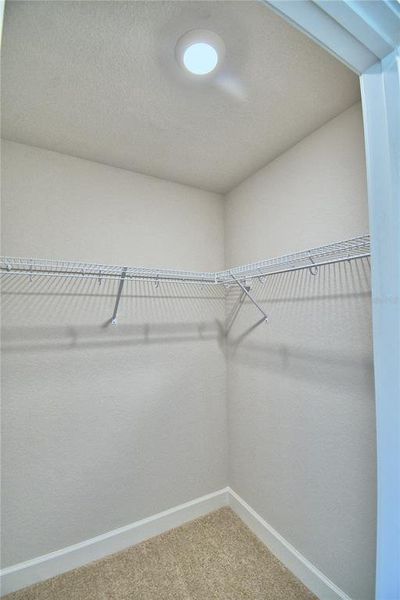 Spacious, unfurnished interior of a new home in , Lake Wales (Image 49).