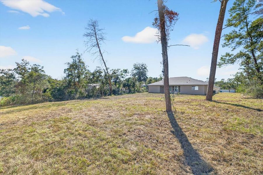 Natural landscape and outdoor views near  in Weeki Wachee (Image 37).