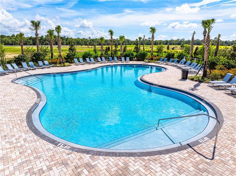 Community amenities in Palm Wind, Hudson (Image 37).